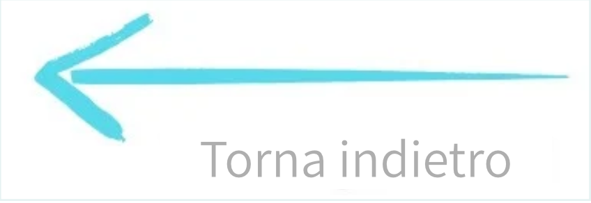Torna indietro