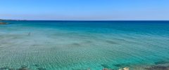 IMG-20220515-WA0015